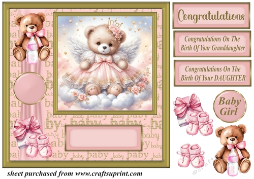 Baby girl ted card front 9
