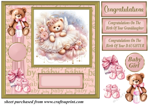 Baby girl ted card front 10