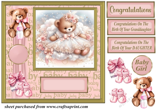 Baby girl ted card front 11