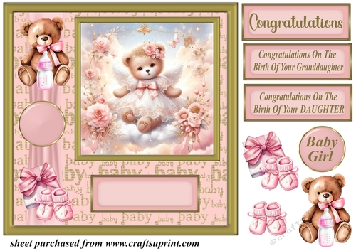 Baby girl ted card front 12