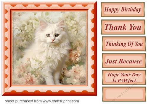 Peach floral kitten card front 1