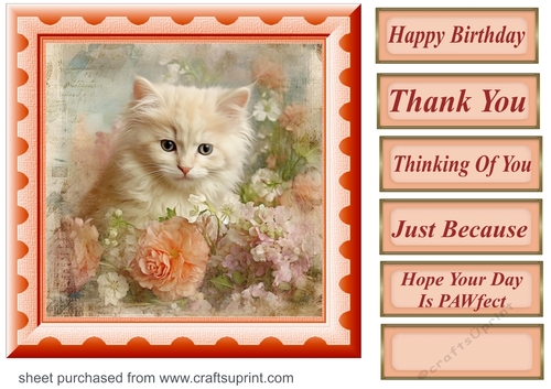 Peach floral kitten card front 2