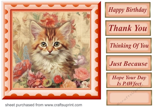 Peach floral kitten card front 3