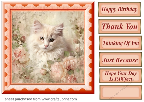 Peach floral kitten card front 4