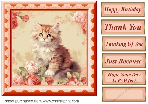 Peach floral kitten card front 5