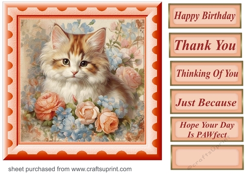 Peach floral kitten card front 6