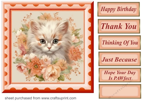 Peach floral kitten card front 7