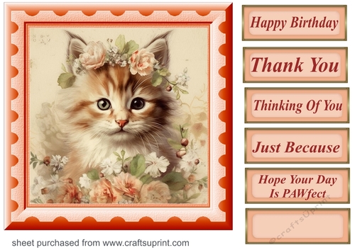 Peach floral kitten card front 8
