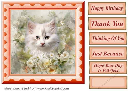 Peach floral kitten card front 9