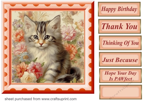 Peach floral kitten card front 10