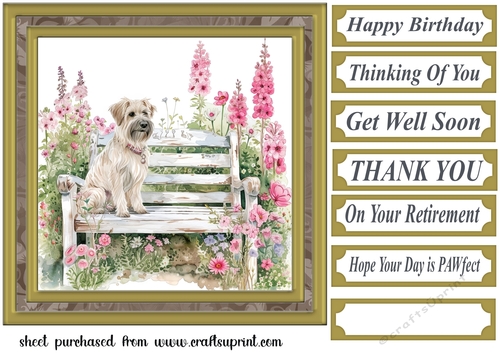Its a dogs life card front 1
