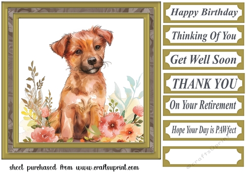 Its a dogs life card front 4