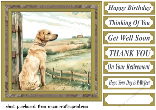 Its a dogs life card front 5