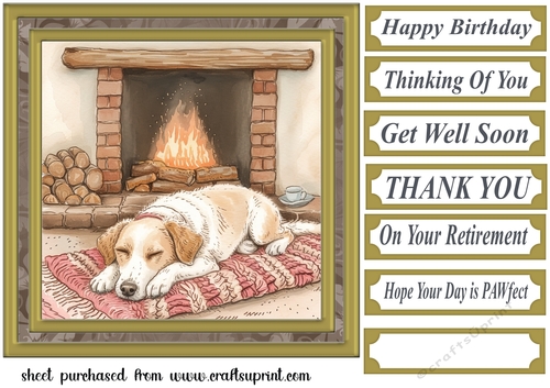 Its a dogs life card front 9