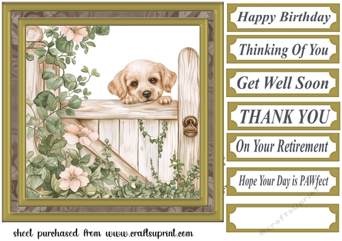 Its a dogs life card front 11