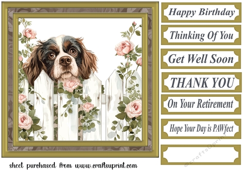 Its a dogs life card front 12