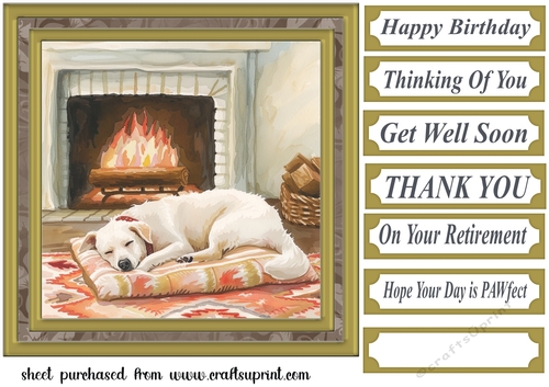 Its a dogs life card front 13