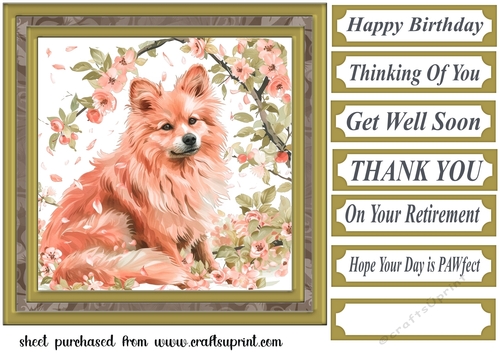 Its a dogs life card front 14