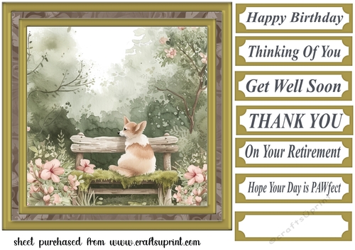 Its a dogs life card front 16