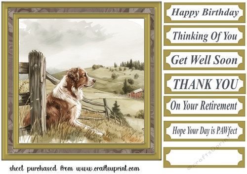 Its a dogs life card front 23