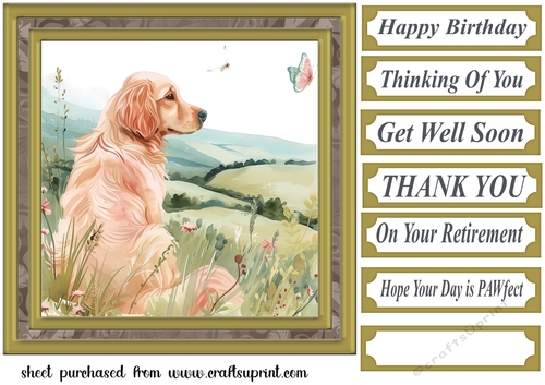 Its a dogs life card front 25