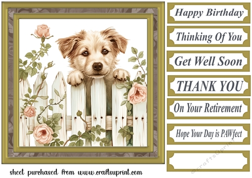 Its a dogs life card front 26