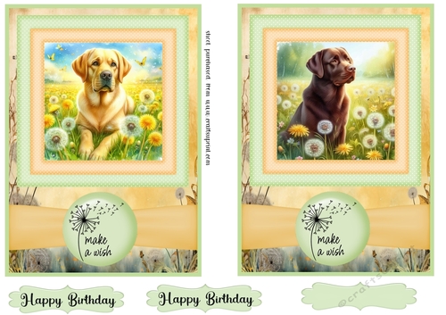 2 Make a wish pup card fronts 1