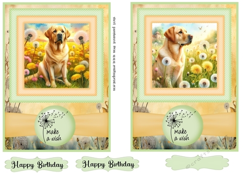 2 Make a wish pup card fronts 6