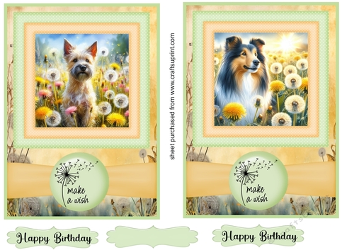 2 Make a wish pup card fronts 13