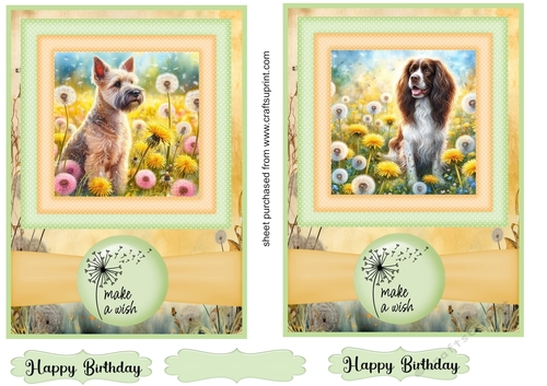 2 Make a wish pup card fronts 14