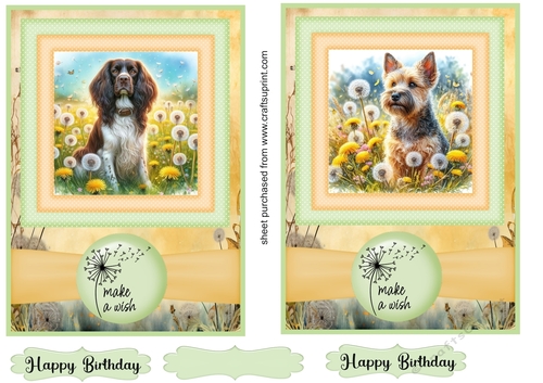 2 Make a wish pup card fronts 15