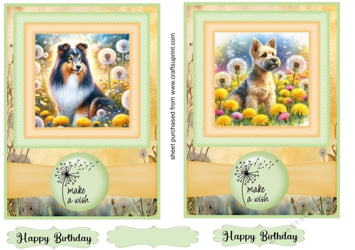 2 Make a wish pup card fronts 16