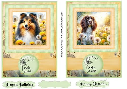 2 Make a wish pup card fronts 17