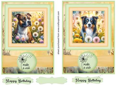 2 Make a wish pup card fronts 18
