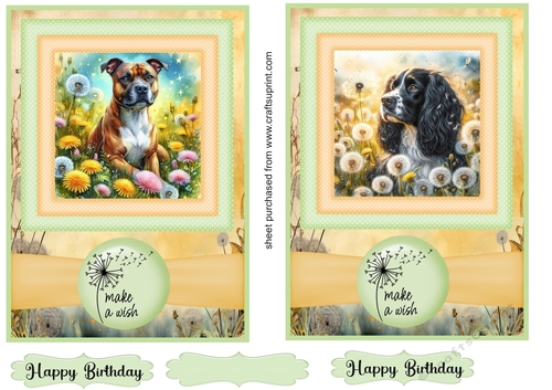 2 Make a wish pup card fronts 19