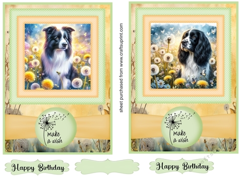 2 Make a wish pup card fronts 20