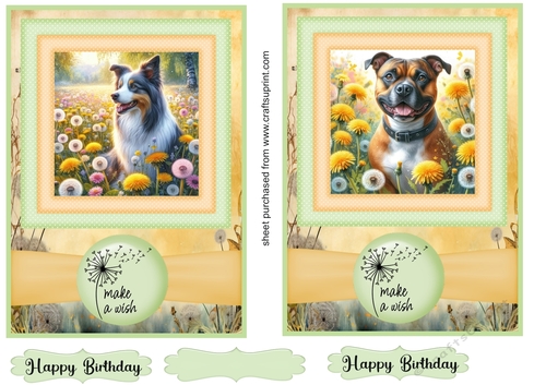 2 Make a wish pup card fronts 21