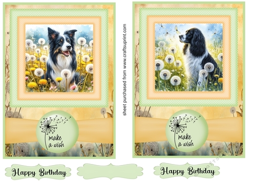 2 Make a wish pup card fronts 22