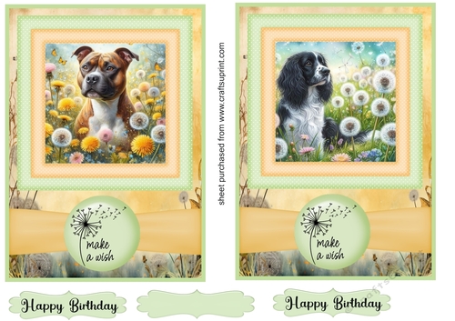 2 Make a wish pup card fronts 23