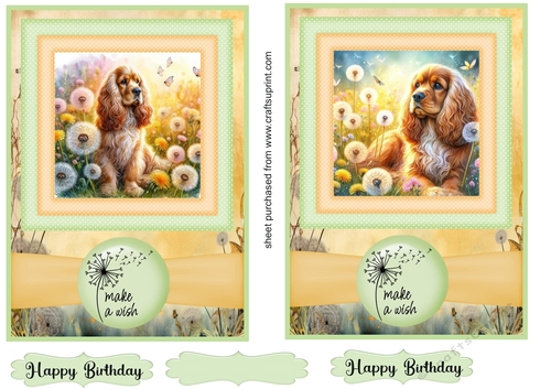 2 Make a wish pup card fronts 24