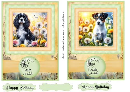 2 Make a wish pup card fronts 26
