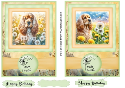2 Make a wish pup card fronts 27