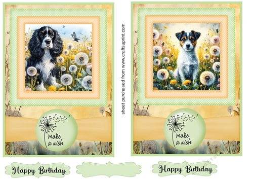 2 Make a wish pup card fronts 28