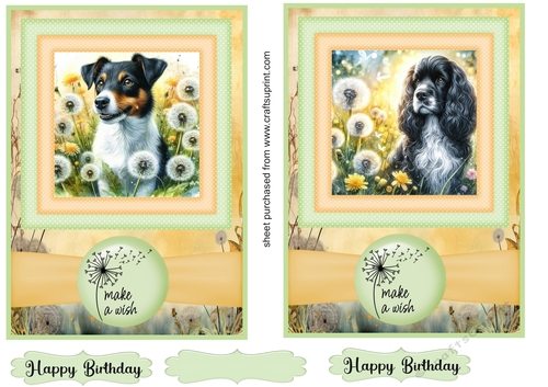 2 Make a wish pup card fronts 29