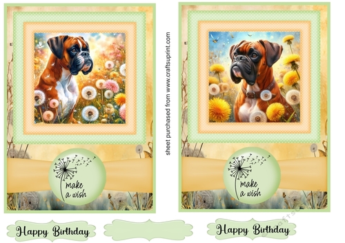2 Make a wish pup card fronts 30