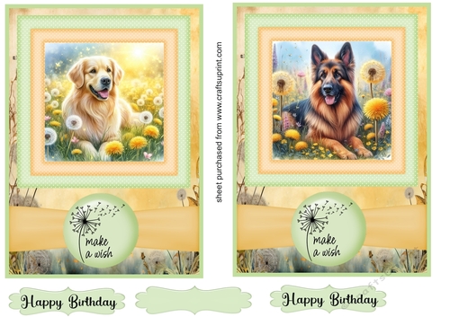 2 Make a wish pup card fronts 31