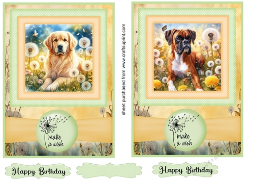 2 Make a wish pup card fronts 32
