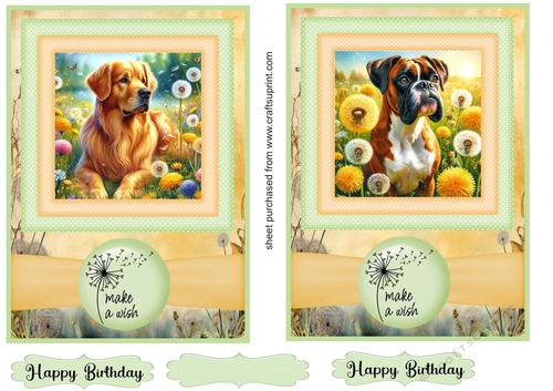 2 Make a wish pup card fronts 33