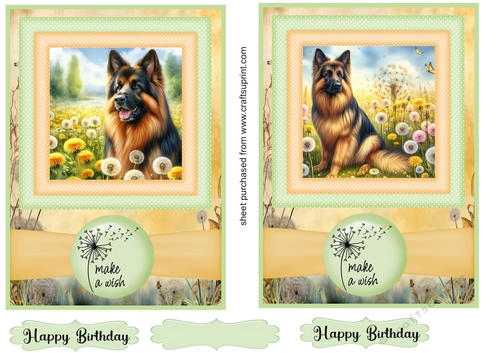2 Make a wish pup card fronts 34