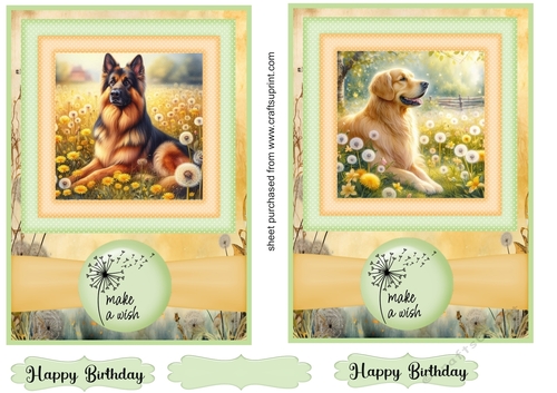 2 Make a wish pup card fronts 35